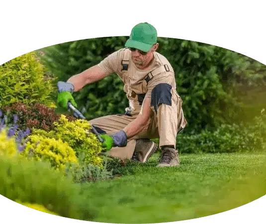A handwerker trimming grass in a garden.